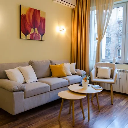 索菲亚贵宾公寓酒店 公寓