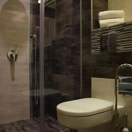 公寓 索菲亚贵宾公寓酒店 *