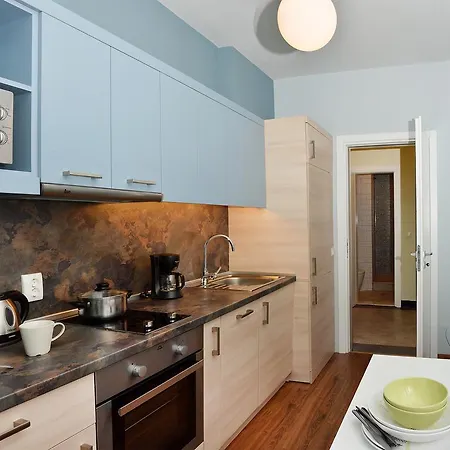 公寓 索菲亚贵宾公寓酒店 *